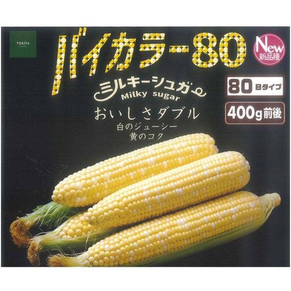 限定販売❣️粒が柔らかく甘いバイカラーとうもろこし（グラビス）皮つき 新商品】野菜の種/種子 ミルキーシュガー バイカラー80・80日タイプ