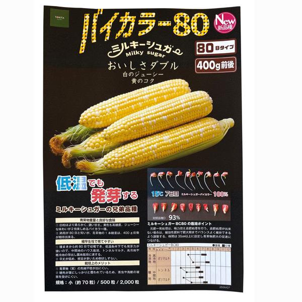 新商品】野菜の種/種子 ミルキーシュガー バイカラー80・80日タイプ