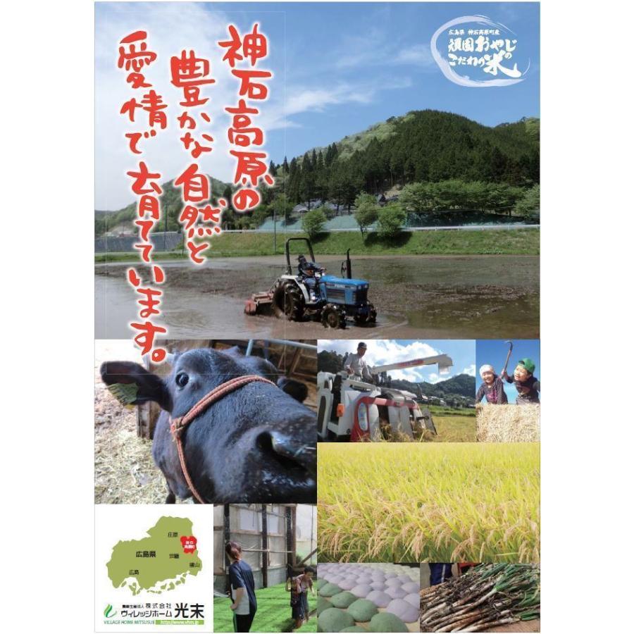 あきさかり玄米20kg(10kg×2) 令和7年 神石高原町産 食べ飽きない 