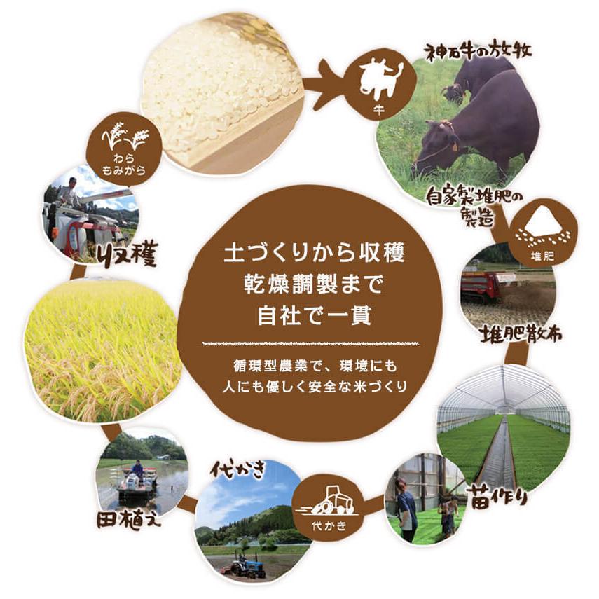 コシヒカリ精米20kg(5kg×4) 令和7年 神石高原町産 粘りと甘さのバランスが絶妙！ |  | 08