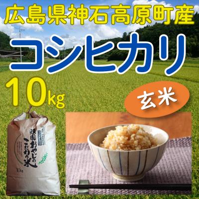 玄米 20kg コシヒカリ お米 米 群馬県産 高級米 - 米・雑穀・粉類