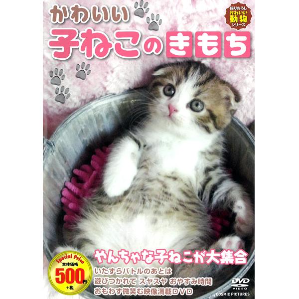 Dvd かわいい子ねこのきもち Ccp 8007 子猫 子ねこ アニマル映像 動物 ペット 猫 飼い猫 赤ちゃん猫 動物映像 メール便 送料無料 Y Vi For 通販 Yahoo ショッピング