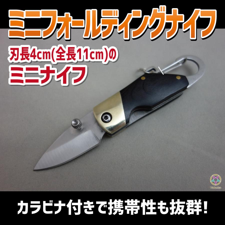 日本全国 送料無料 フォールディングナイフ キャンプ アウトドア 釣り コンパクト ミニ ナイフ カラビナ 付き 日本全国 送料無料 フォールディングナイフ キャンプ アウトドア 釣り コンパクト ミニ ナイフ カラビナ 付き
