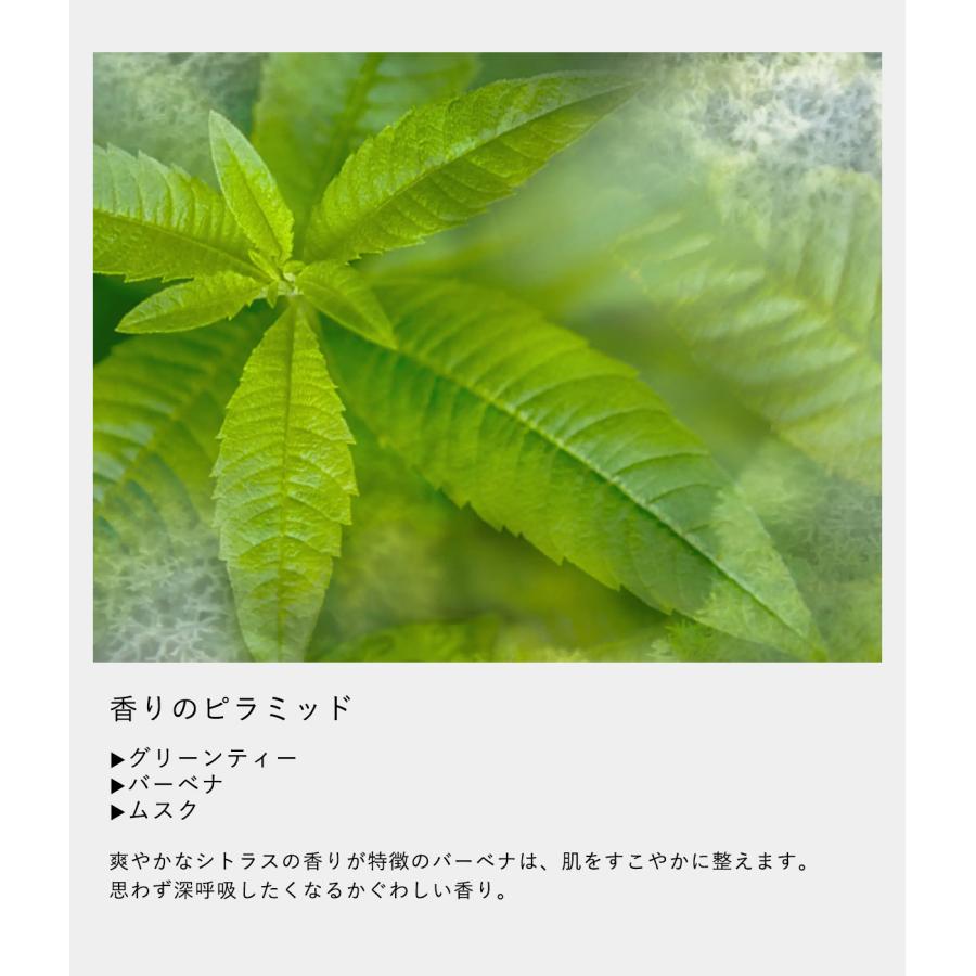 【DR. VRANJES｜ドットール・ヴラニエス】HS VERBENA (ヴァルベーナ) 410ml バーベナシトラス ハンドソープ ギフト プレゼント【HS0989125】 |  | 06