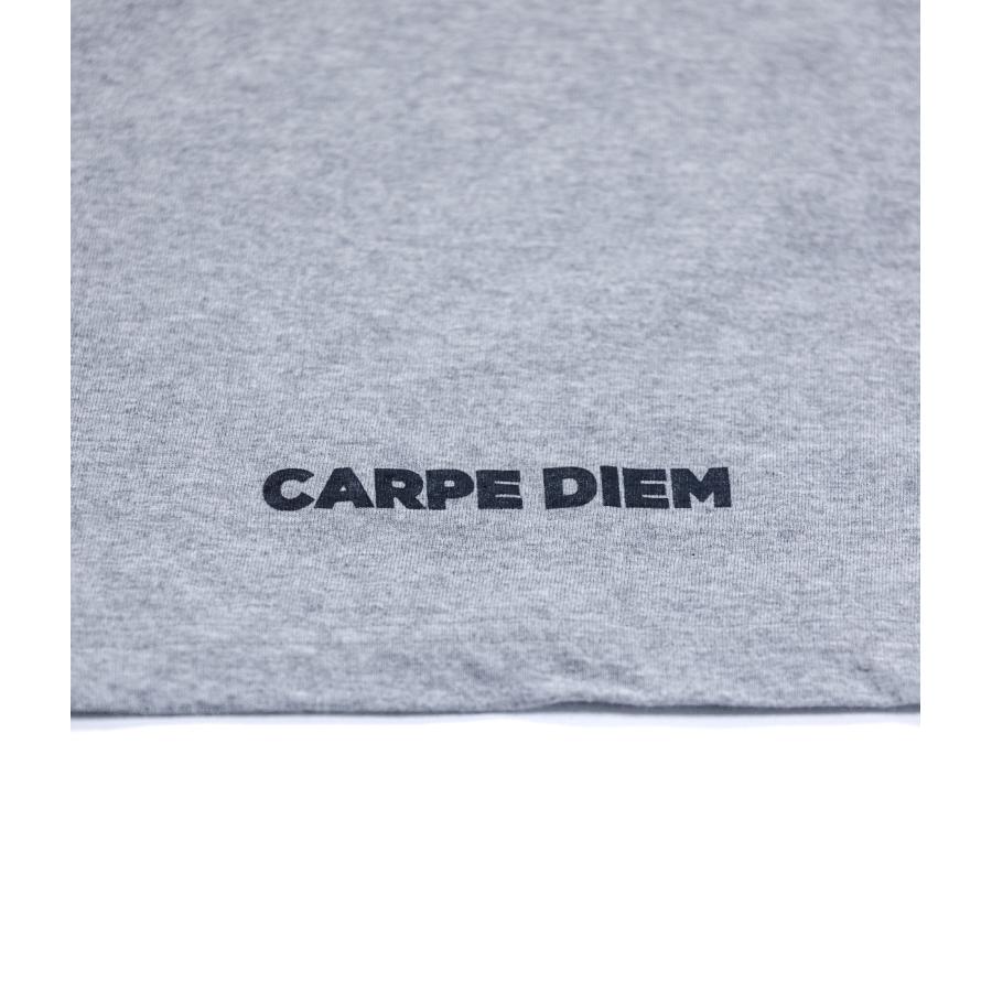【CARPE DIEM｜カルペディエム】STRING T-SHIRTS　半袖Tシャツ　ホワイト　ブラック　ピンク　ブルー　グレー【JCD-T009】 |  | 16