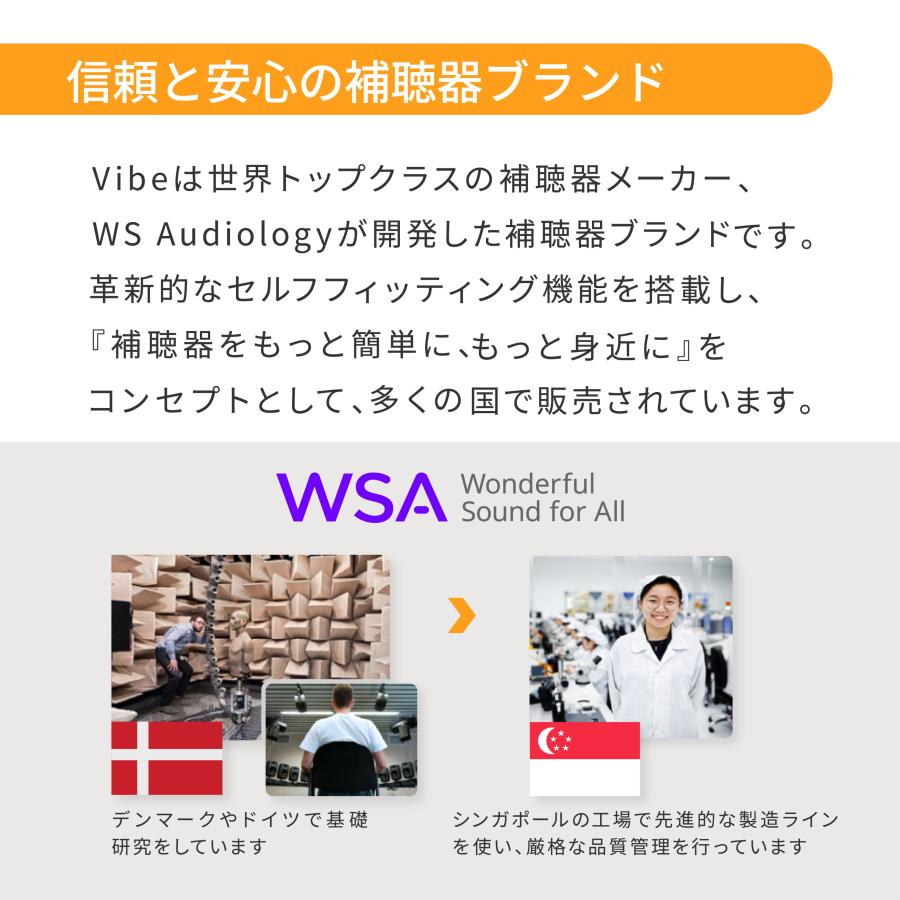Vibe（ヴィーブ） Vibe Go ヴィーブゴー 補聴器 両耳セット 充電式