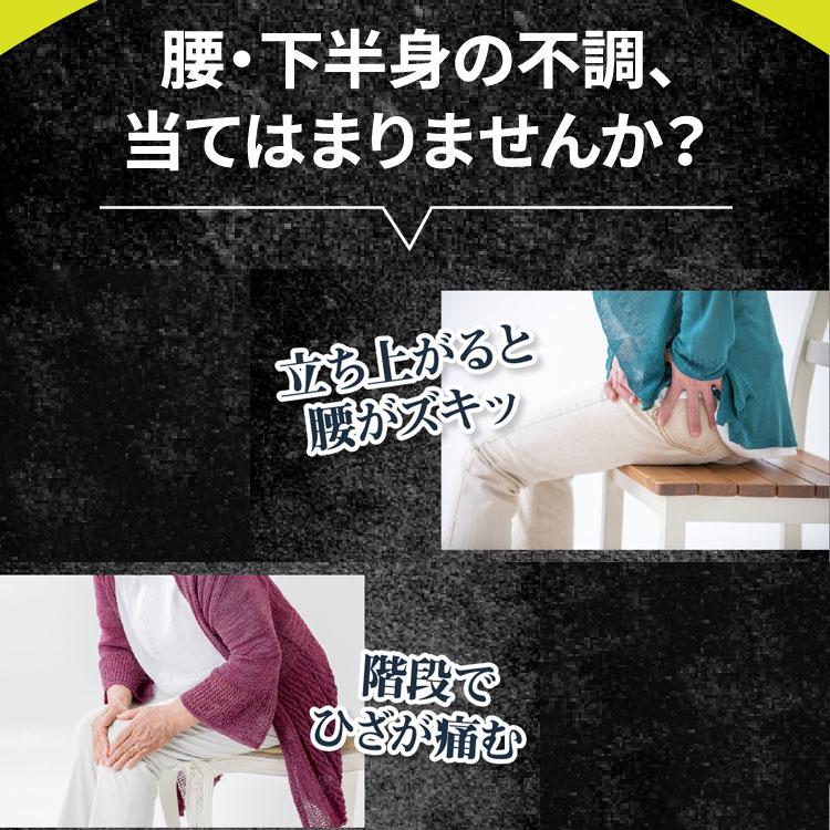 SKINGEAR スキンギア スパッツ ボディメイク 着圧スパッツ 筋膜発想