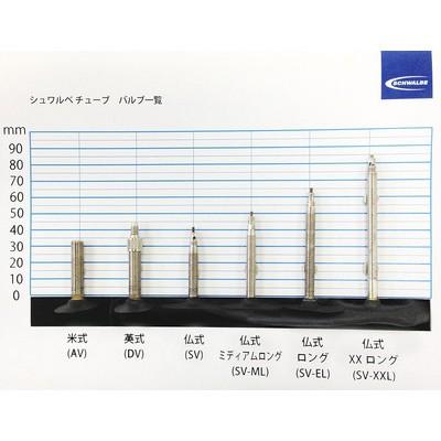 シュワルベ SCHWALBE TU 19F-SV 29x2.10-3.00 チューブ 交換 予備 自転車用 SW-10400323 | SCHWALBE | 02