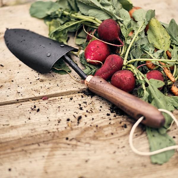 ベアーボーンズリビング Barebones Living スペード ウォールナット |  | 05