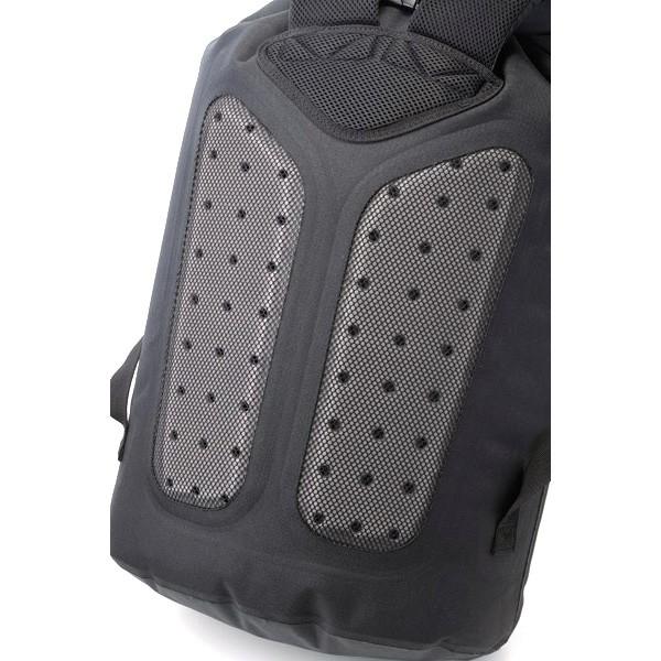 アイスミュール ソフトクーラー プロクーラー  23L/L  ブラック ICEMULE COOLERS アイスミュール プロクーラー L/23L ブラック : vic2