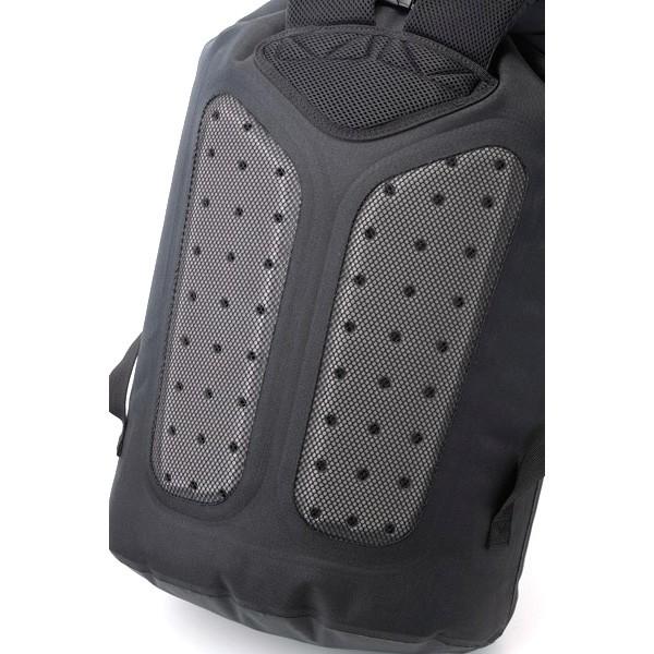 アイスミュール ICEMULE プロクーラー XL/33L ブラックの画像