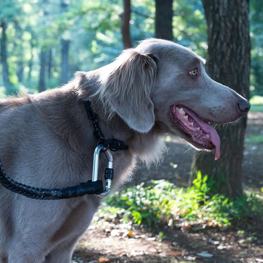 グリ gris WINCH LEASH INDUSTRIAL GREY 130cm GCL223101252の画像