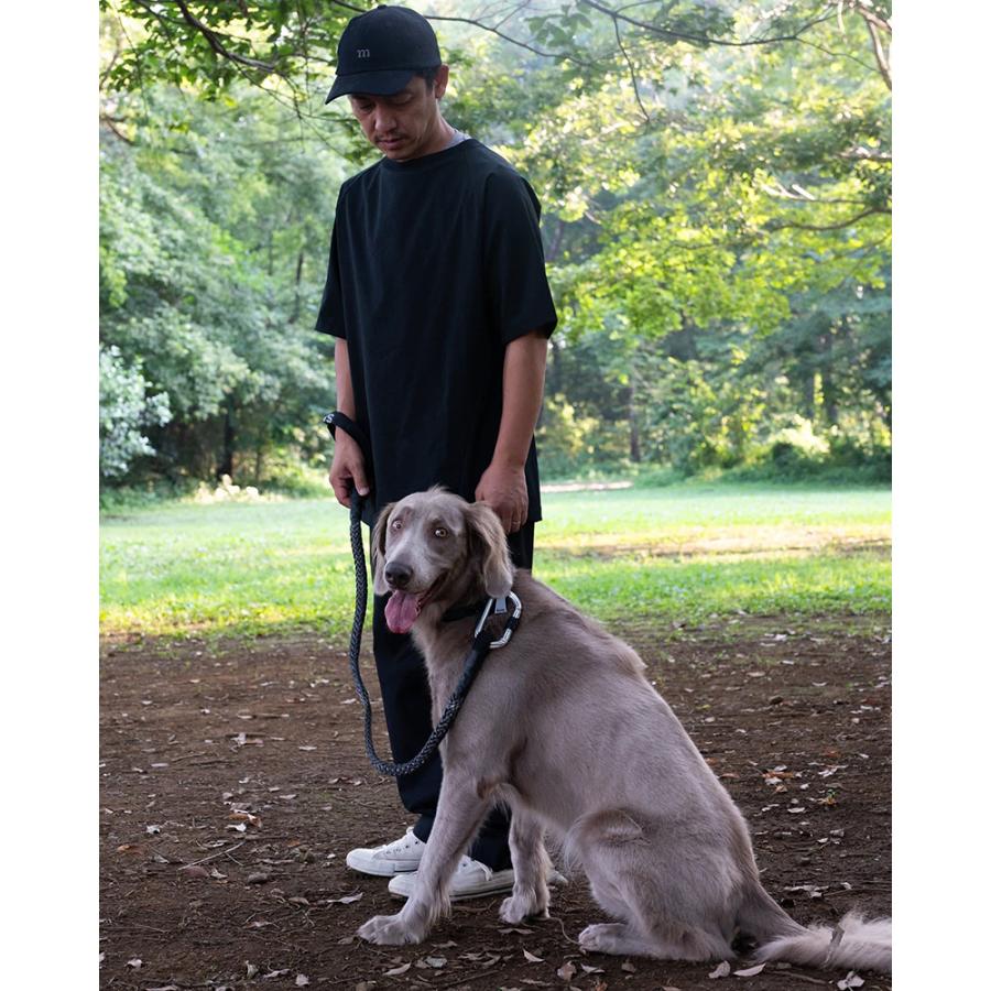 グリ gris WINCH LEASH INDUSTRIAL GREY 130cm GCL223101252の画像