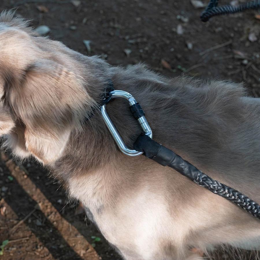 グリ gris WINCH LEASH INDUSTRIAL GREY 130cm GCL223101252の画像