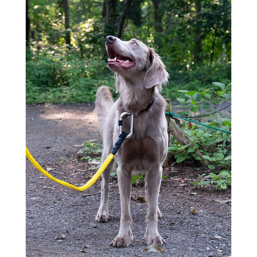 gris WINCH LEASH SHOCK YELLOW 130cm/グリ グリ gris WINCH LEASH SHOCK YELLOW 130cm GCL223101562 : vic2