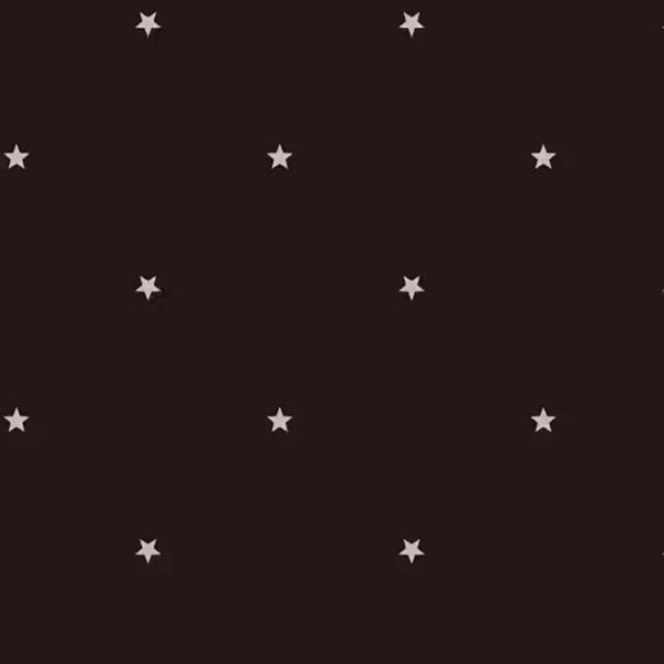 ハス HUS. オールウェザー デザイン Silver Pin Star BK 54850 | HUS. | 01