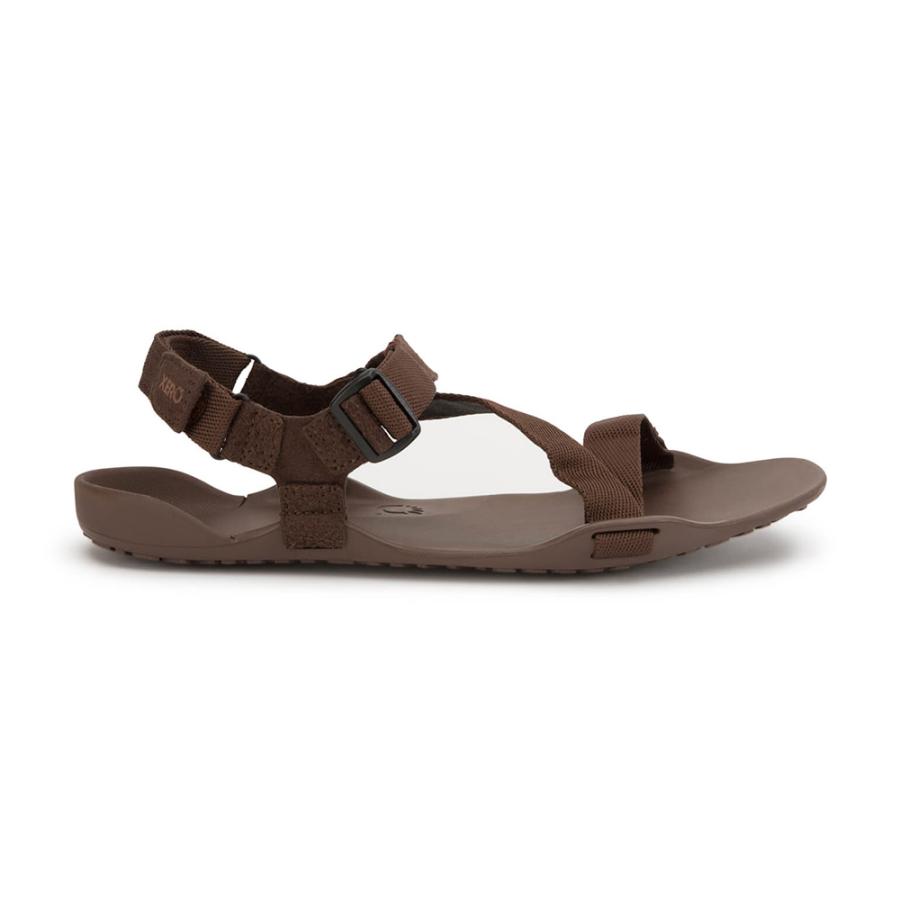 ゼロシューズ Xero Shoes Mens Z-トレック II ブラウン ZKM-BRN 楽天 