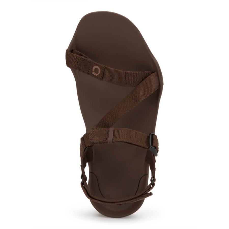 新品未使用 XEROSHOESゼロシューズ Zトレック2 ブラウン 27cm Zトレック2 M's（コンパクト/足を鍛えるサンダル）【XEROSHOES