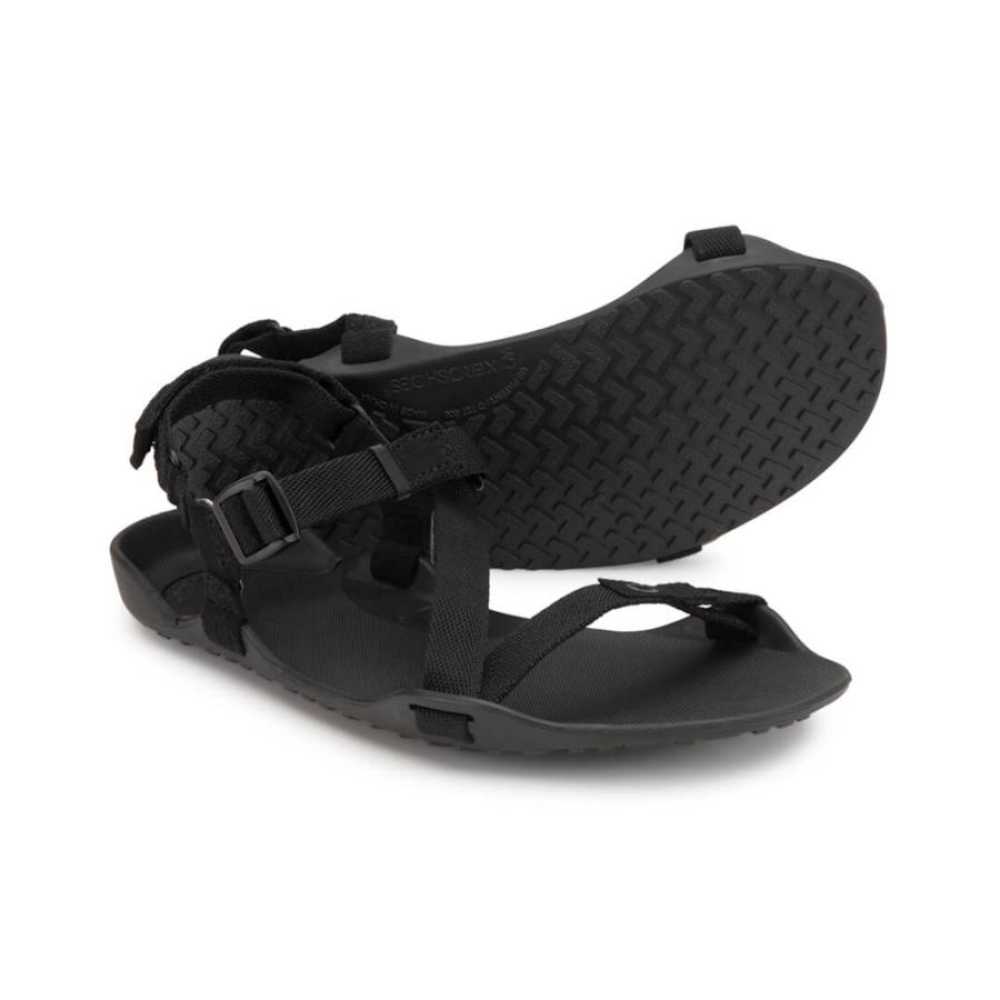 ののん  ゼロシューズ Xero Shoes Womens Z-トレック II ブラック ZKW-BLK