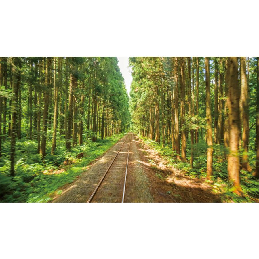 秋田内陸縦貫鉄道 急行 もりよし 秋田内陸線 角館 〜 鷹巣 ビコム