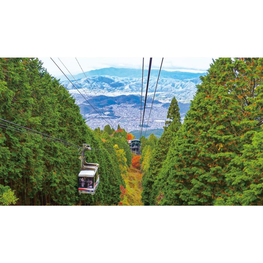 京福電気鉄道 全線往復 嵐電 嵐山本線・北野線&amp;叡山ケーブル・叡山ロープウェイ [DVD] 京福電気鉄道 全線往復 嵐電 嵐山本線・北野線＆叡山ケーブル