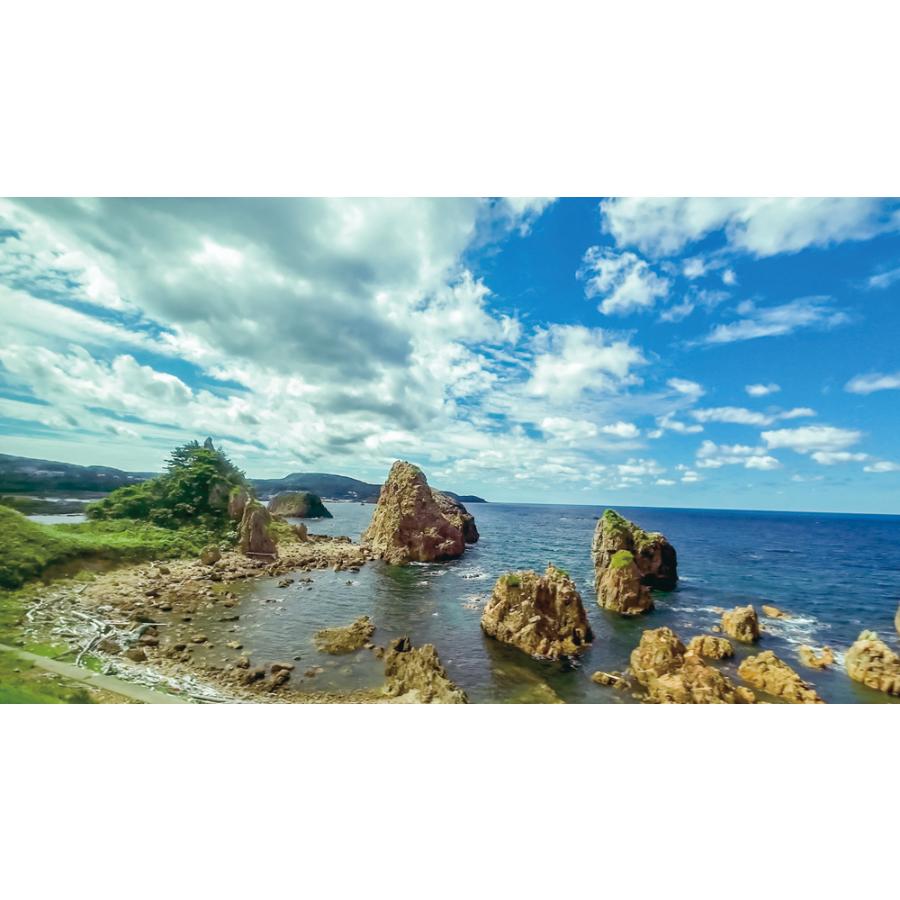 リゾート しらかみ2号「青池」編成 JR五能線・JR奥羽本線 青森〜秋田