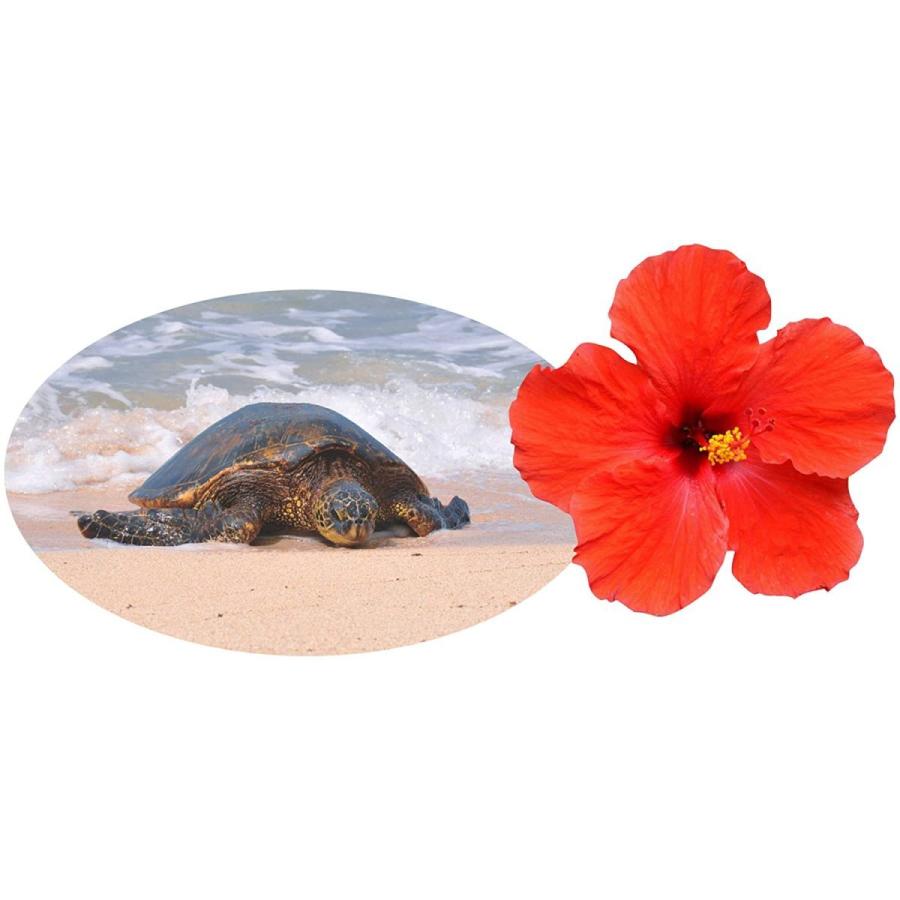 Healing Islands Oahu Hawaii ハワイ オアフ島 Dvd版 新価格版 ビコムストア Rx 5124 ビコムストア 通販 Yahoo ショッピング