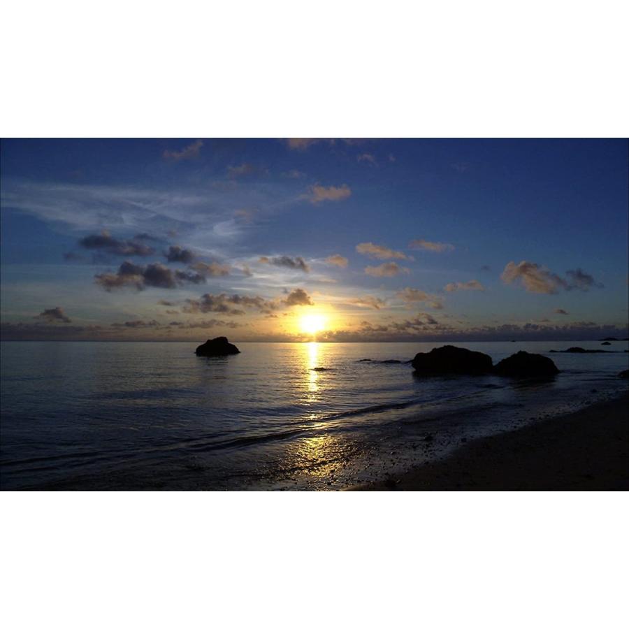 ビコム Relaxes 奄美大島 4k撮影作品 いのち紡ぐ島