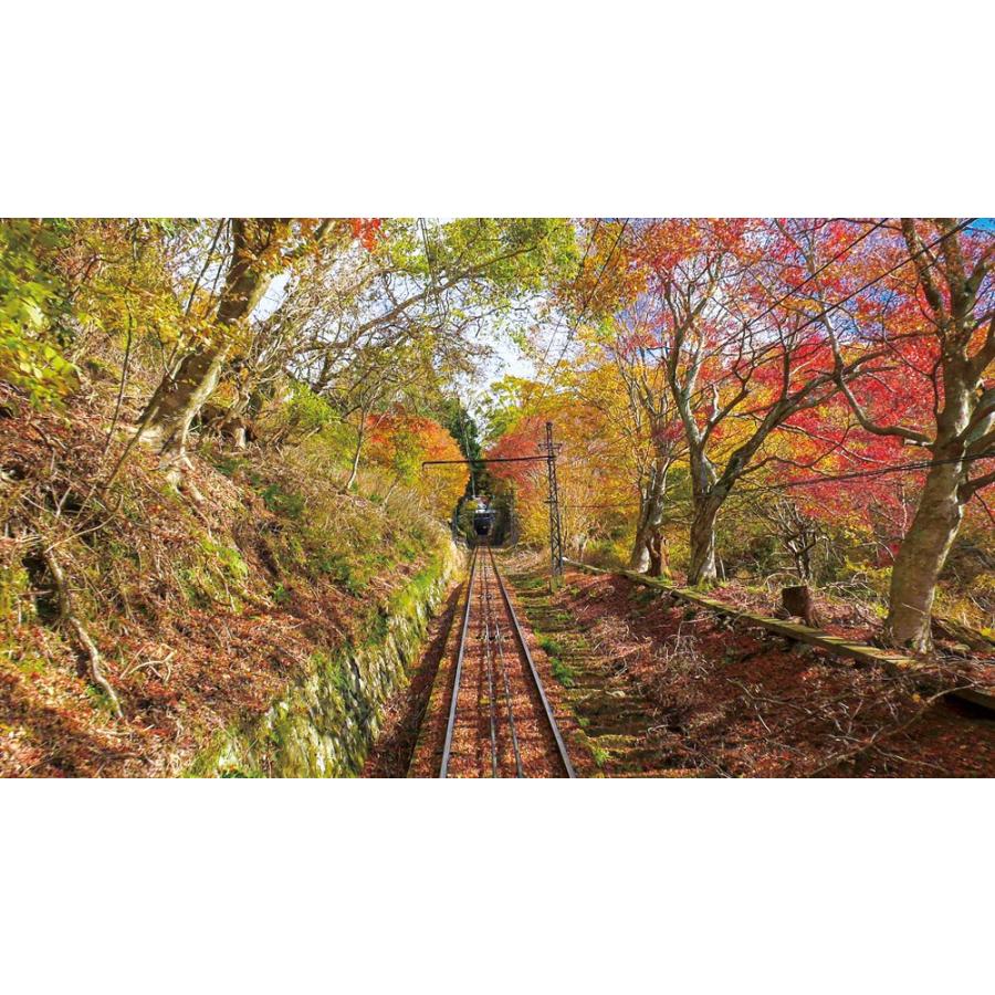 京福電気鉄道 全線往復 嵐電 嵐山本線・北野線＆叡山ケーブル