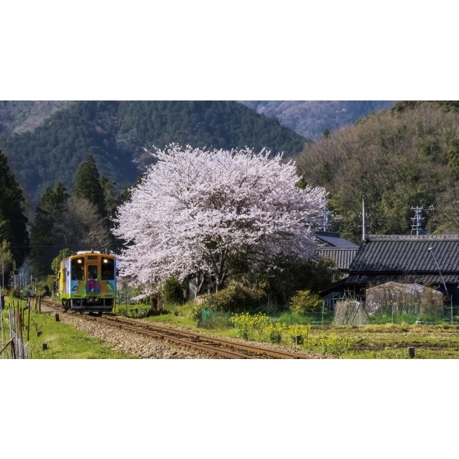 春の樽見鉄道 全線往復　ビコムストア　【ブルーレイ】｜vicom-store｜06