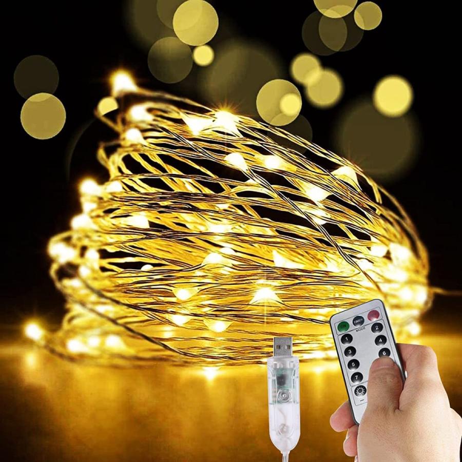 話題の行列 Usb式 10m 100球 Lehom ジュエリーライト Ledイルミネーションライト リ クリスマ 正月 ガーデンライト 室内 屋外 防塵仕様 防水 ガーデンライトその他 Www We Job Com
