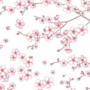 ポーセラーツ 転写紙 花柄 CHERRY BLOSSOMS (チェリーブロッサム/桜