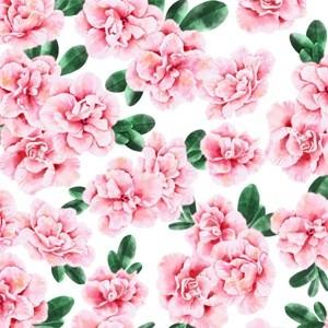 ポーセラーツ 転写紙 花柄 FRINGE ROSE (フリンジローズ) (無くなり