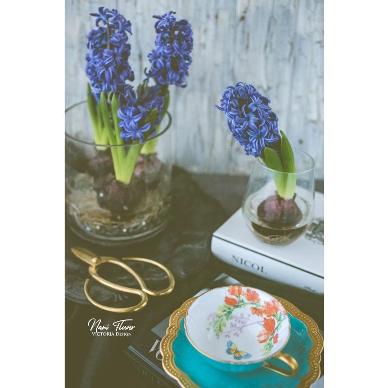 ポーセラーツ 白磁 食器 モフプレート (S) 北欧風 : VICTORIA DESIGN