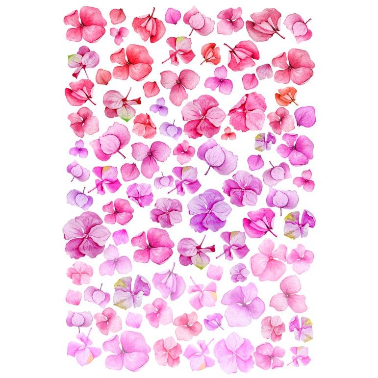 ポーセラーツ 転写紙 花柄 WATER HYDRANGEA (ウォーターハイドランジア