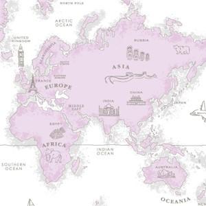 ポーセラーツ 転写紙 模様 WORLD MAP(ワールドマップ・ピンク)
