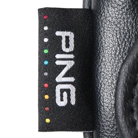 PING（ピン） （メンズ、レディース）ゴルフ ダンシングピン パター