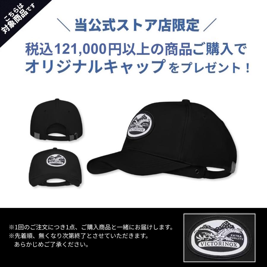オリジナルCAPプレゼント ビクトリノックス 時計 VICTORINOX 公式 DIVE PRO ダイブプロ クォーツ ステンレススチール ブルー 正規品 5年保証 腕時計 メンズの画像