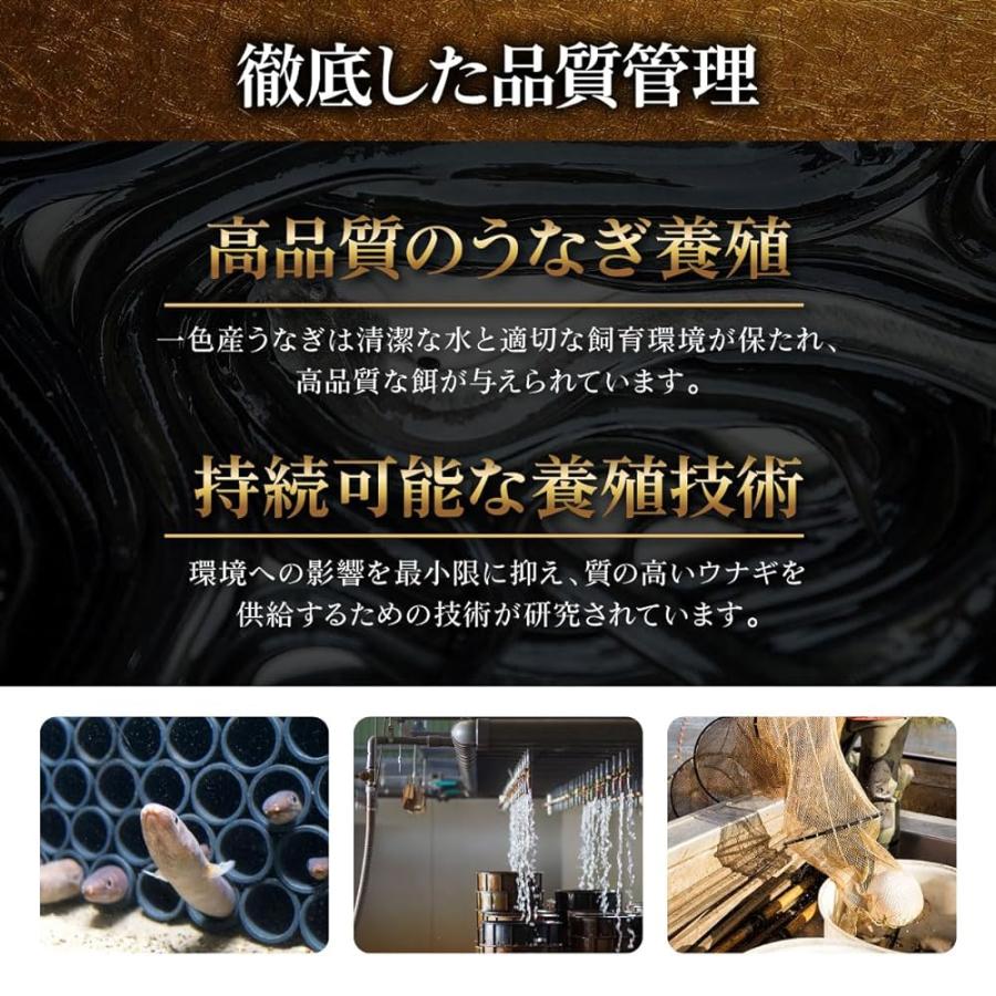 うなぎの蒲焼き 国産 愛知三河一色産 長焼 約130g×2尾 鰻まぶしセット 50g×2食  個包装 真空パック 父の日 母の日 敬老の日 土用の丑 プレゼント 人気｜victory-online｜04