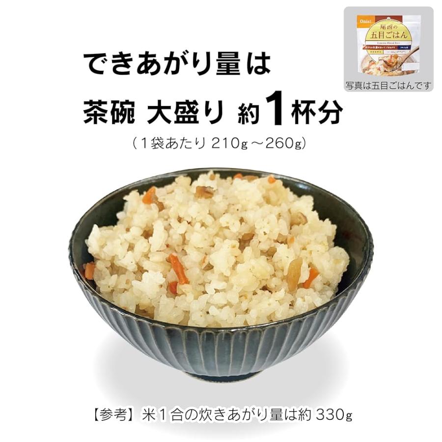 非常食 セット 防災食 5年保存食 尾西食品 アルファ米 12種類セット