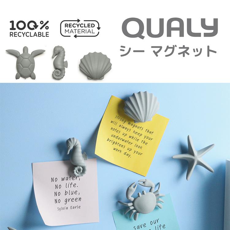 定形外送料無料 Qualy シーマグネット 5個セット 磁石 マグネット