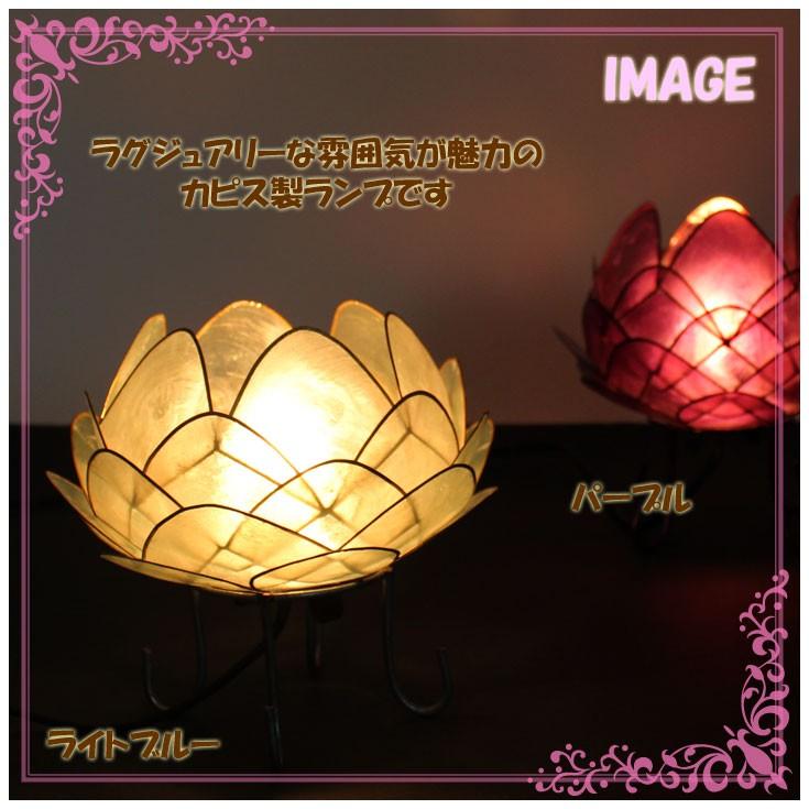 トモ カピス ロータス ランプ Lサイズ 3595 全6色 : VICTORY from