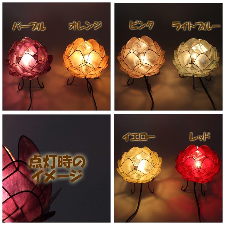 トモ カピス ロータス ランプ Lサイズ 3595 全6色 : VICTORY from