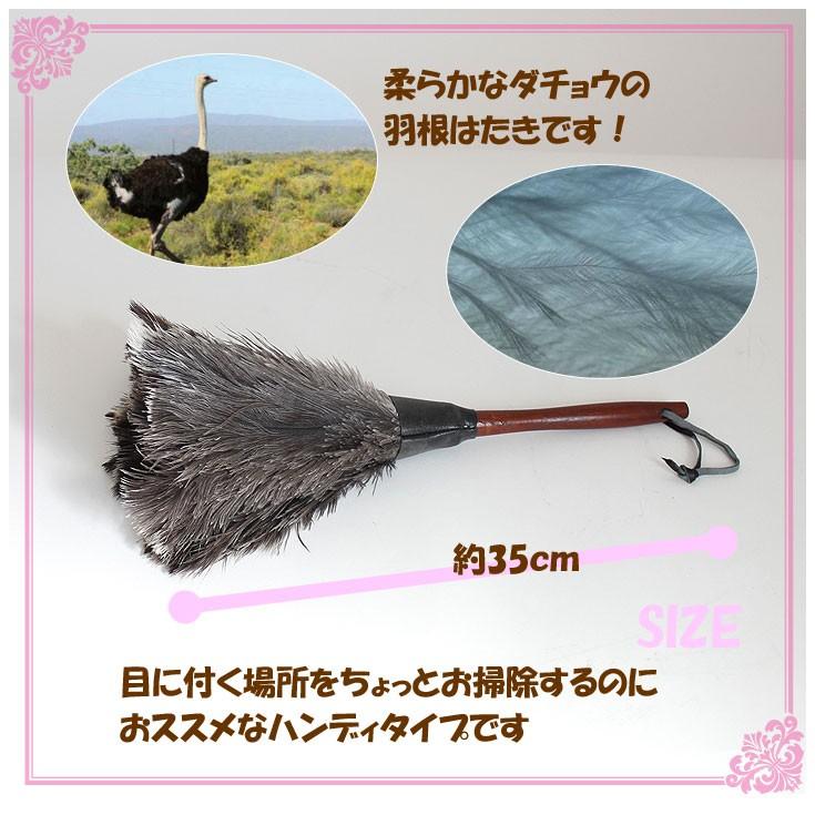 REDECKER レデッカー オーストリッチ フェザーダスター 35cm 05-042