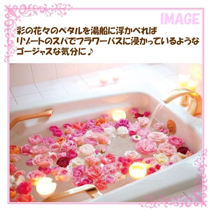 シャン ド フルール ボックスバスペタル ブリス バヴァール プリエール Ob Egn 1 花びら 入浴剤 リゾートスパ ギフト Ot 727 Ek 030 164 Victory From Choice 通販 Yahoo ショッピング