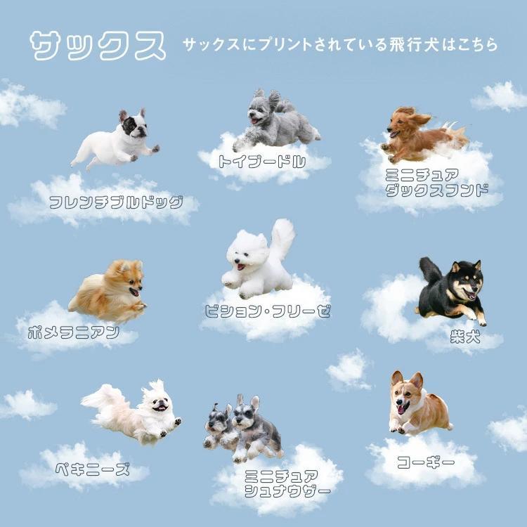 飛行犬 × Wpc. 空飛ぶ 遮光 ワンブレラ ミニ 折りたたみ傘 晴雨兼用