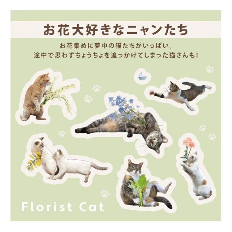 Wpc. 遮光 アンブレにゃん 沖昌之×Wpc. 折り畳み傘 晴雨兼用