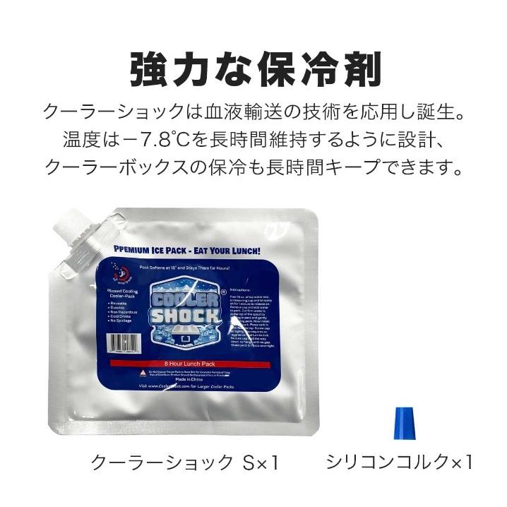 クーラーショック 保冷剤 単品 Sサイズ　-7.8℃をキープ｜vida-lenta｜02
