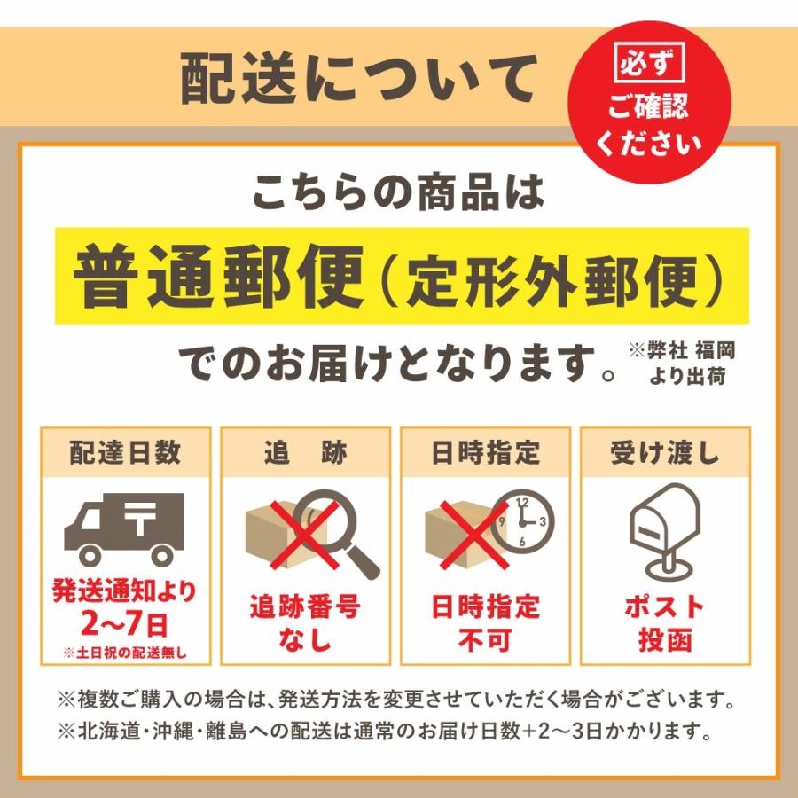 ポケット クリーナー 電池式 卓上クリーナー ハンディクリーナー 卓上 掃除機 乾電池 単3電池 2本 ハンド掃除機 そうじ機 掃除｜vidas-web｜11