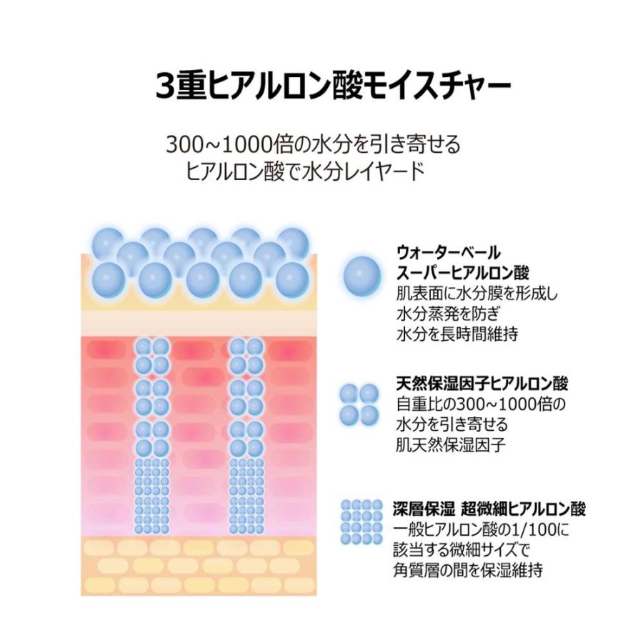 FAU 日本公式ショップスキンソリューション スタークッション